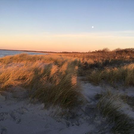 Fewo Sonnenblume Achtern Diek Zingst Εξωτερικό φωτογραφία