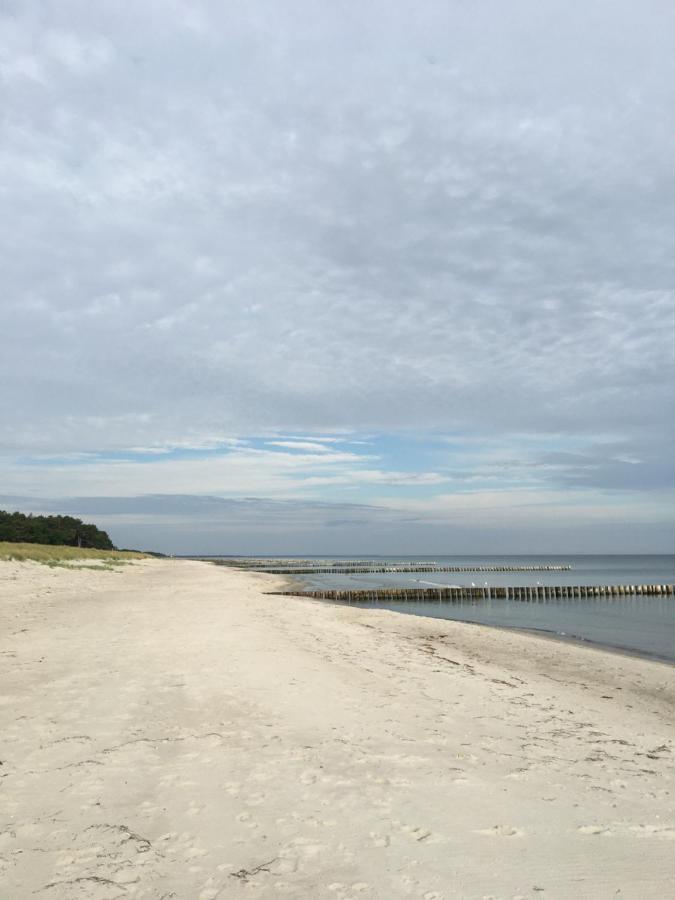 Fewo Sonnenblume Achtern Diek Zingst Εξωτερικό φωτογραφία