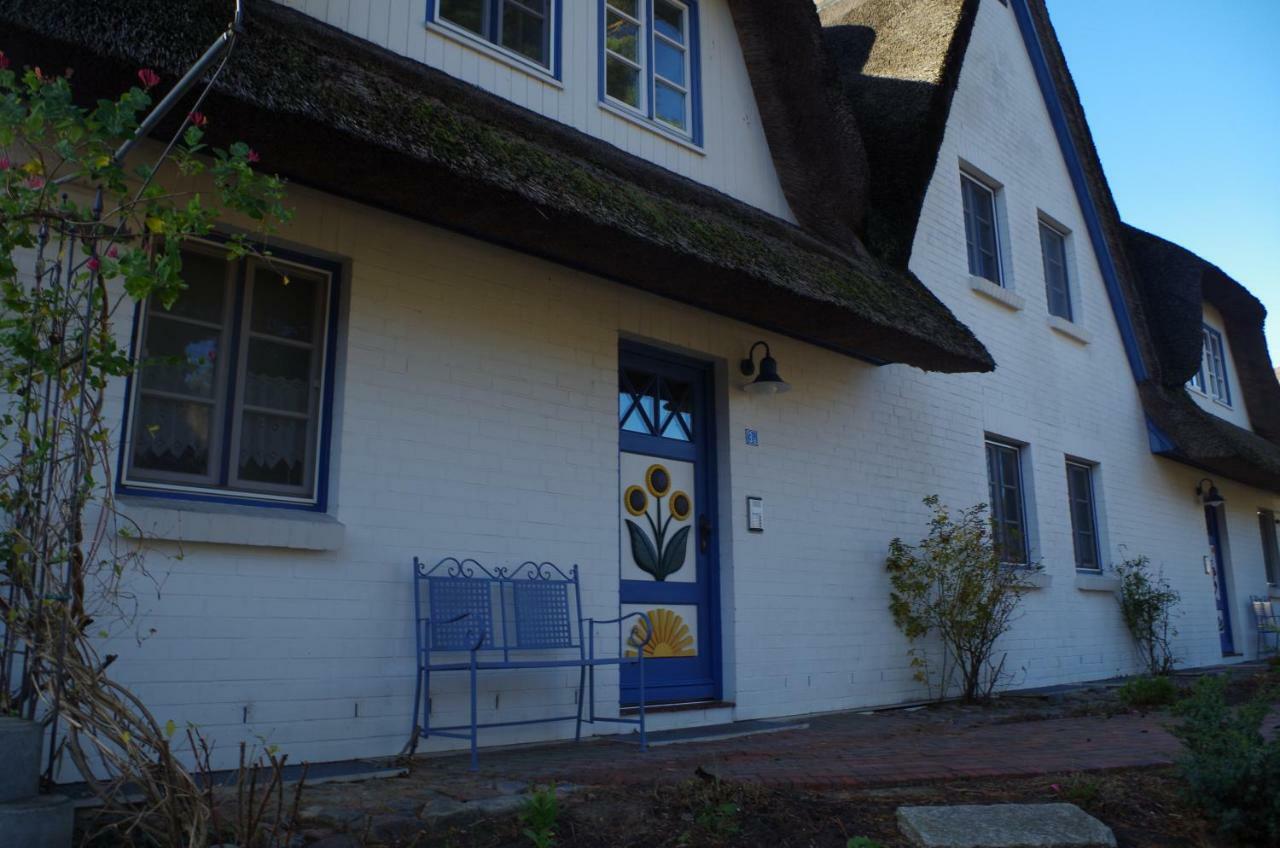 Fewo Sonnenblume Achtern Diek Zingst Εξωτερικό φωτογραφία